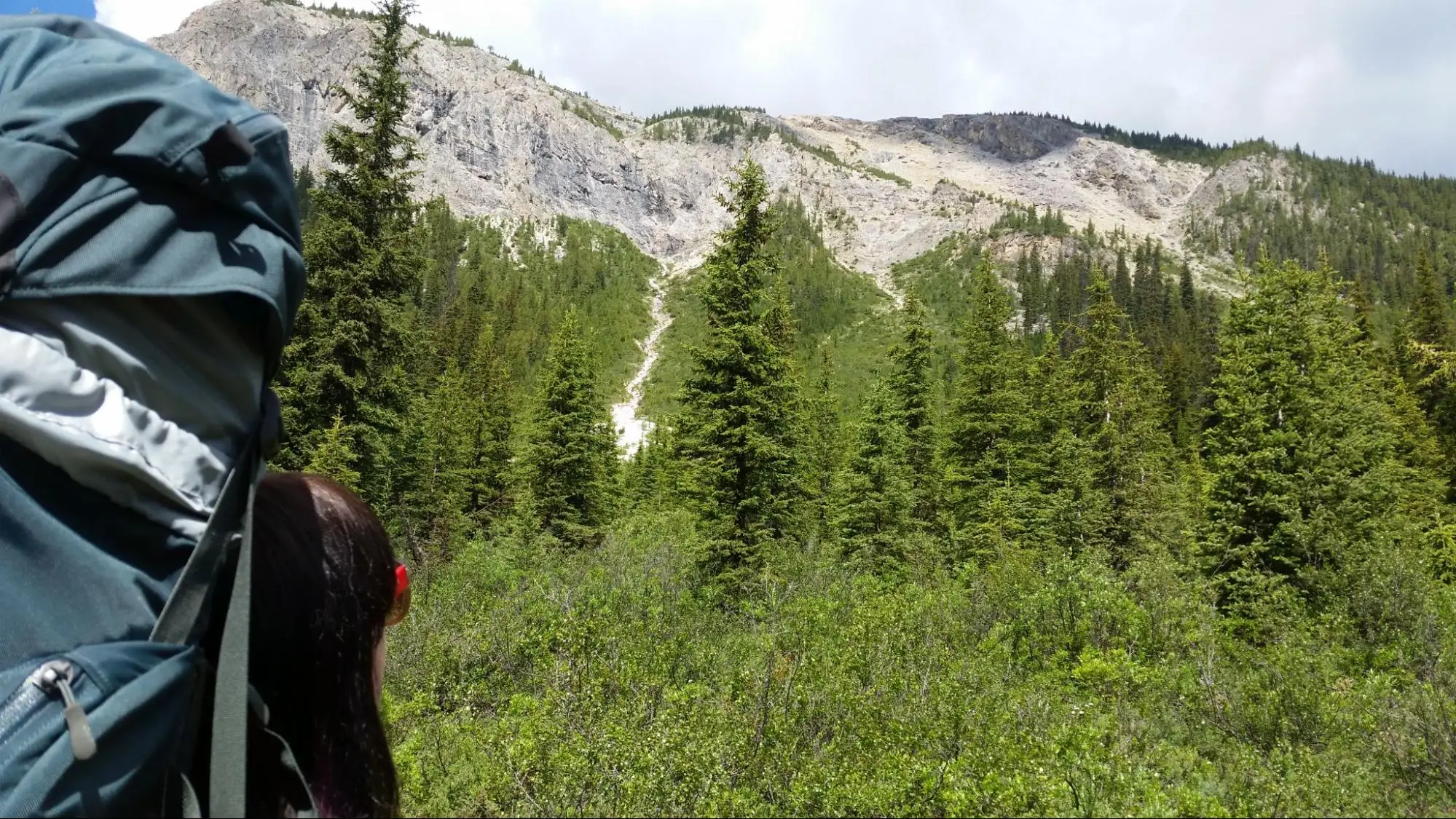 hiking calgary nw